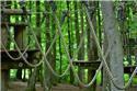 Veranstaltungsbild Ausflug zum Kletterwald Kraxelmaxel